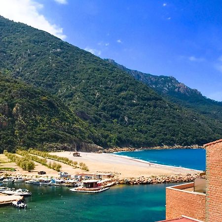 Appartements Les Residences Du Port La Siesta Porto  Екстер'єр фото